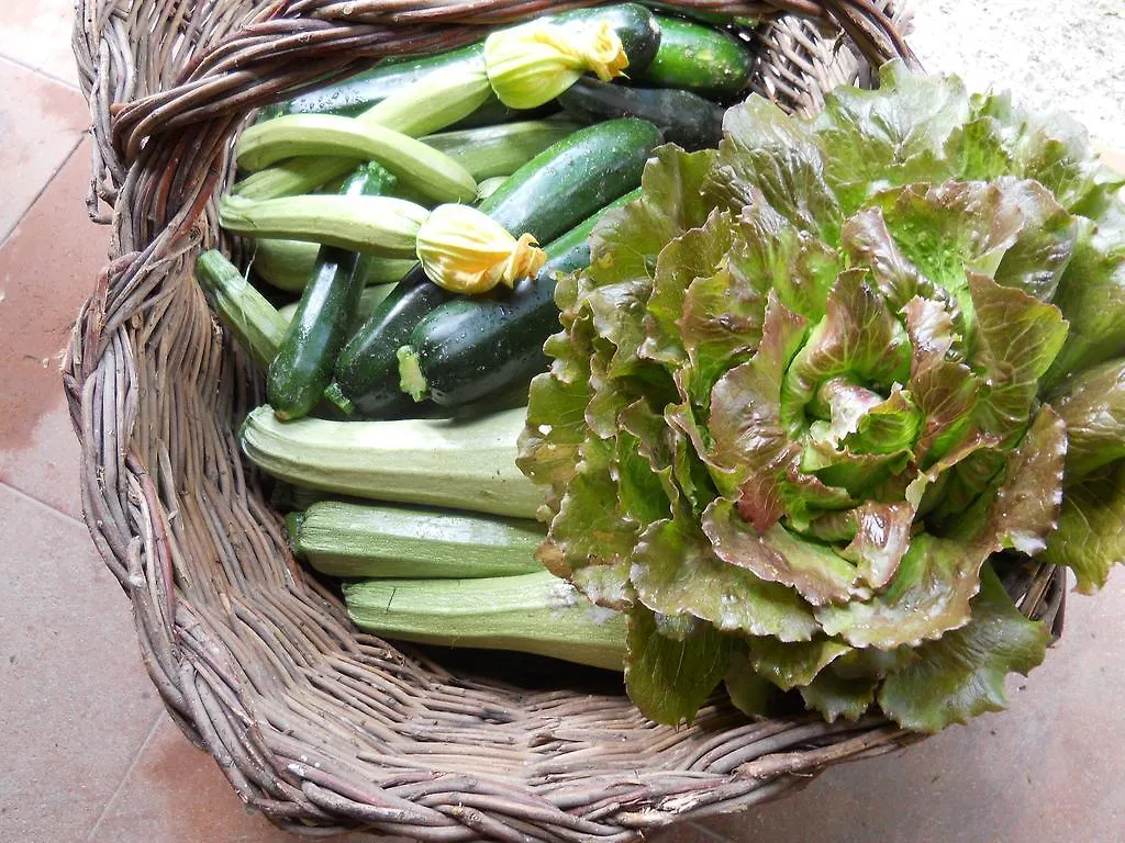 Farm stay La Badiola Villa Chiusi Italy