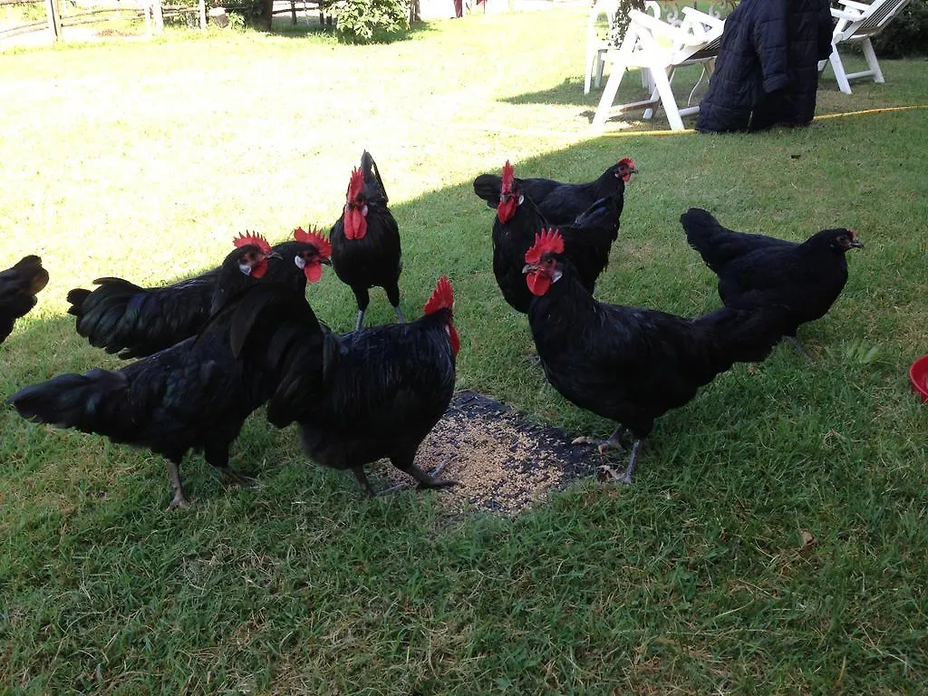La Badiola Villa Chiusi Italia