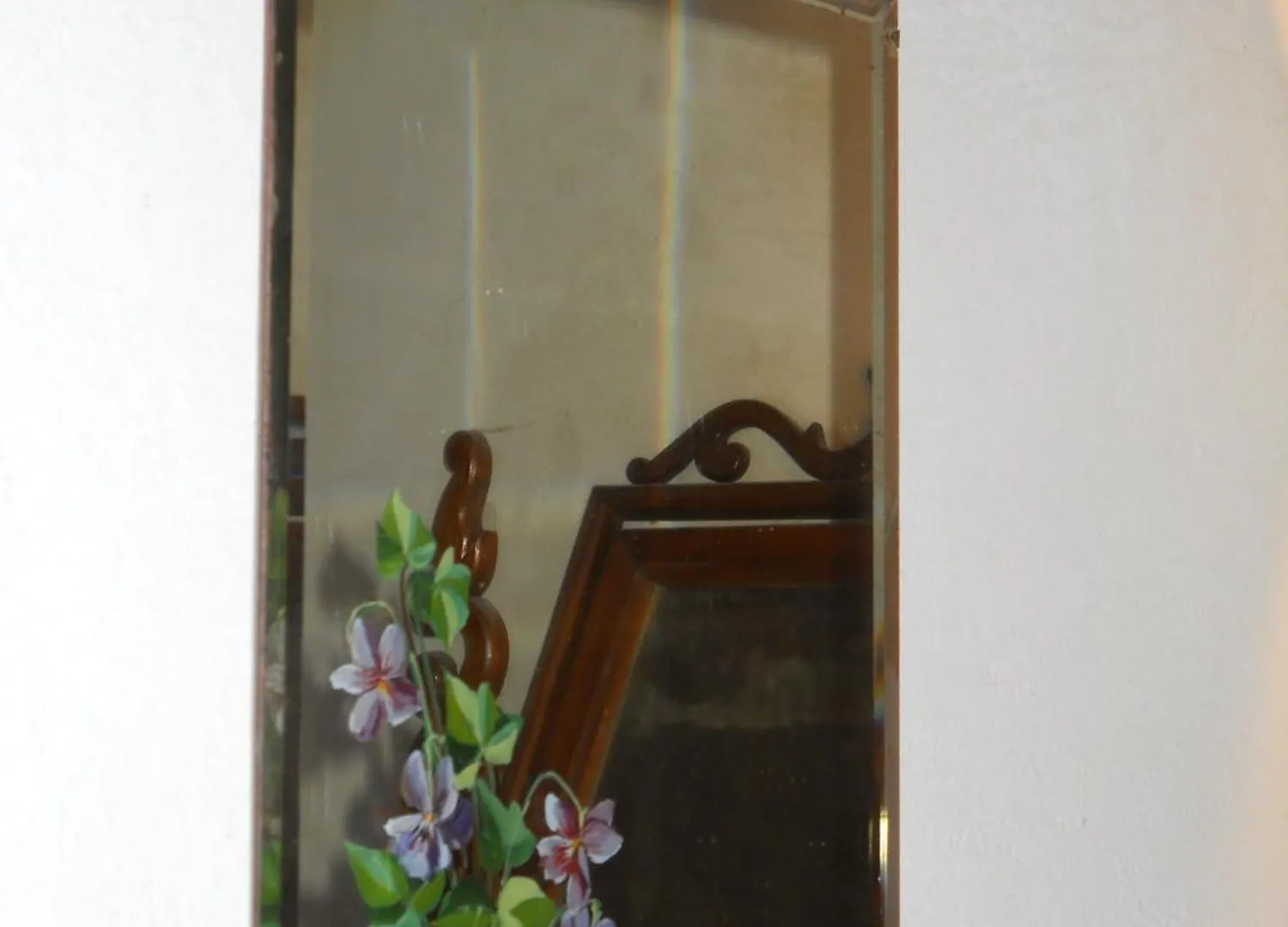 Alloggio per agriturismo La Badiola Villa Chiusi