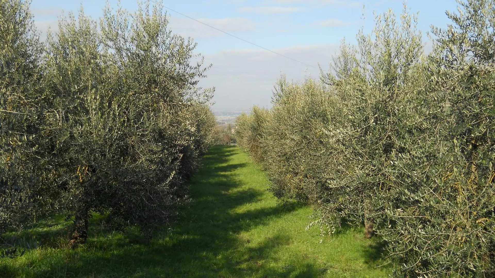 La Badiola Villa Chiusi 0*,
